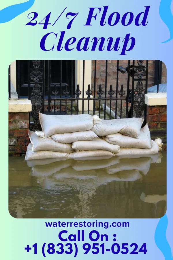 24/7 Flood Cleanup in Ackerman, MS