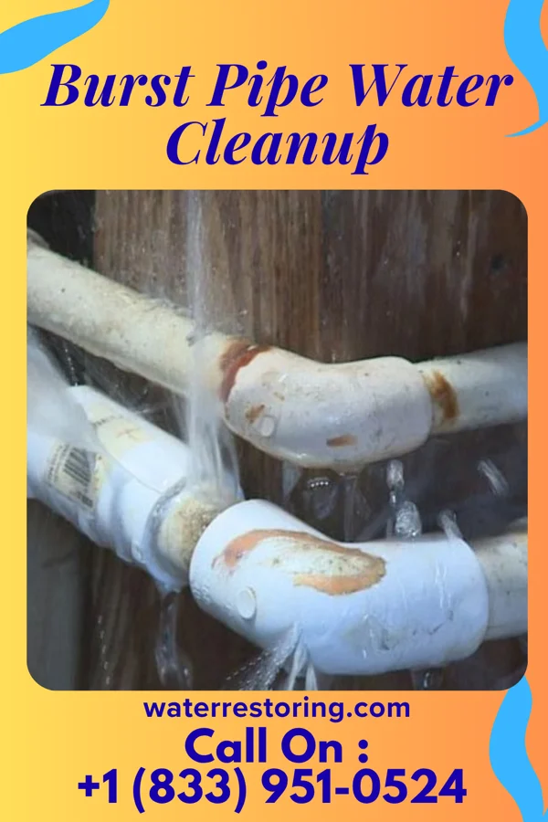 Burst Pipe Water Cleanup in Ackerman, MS