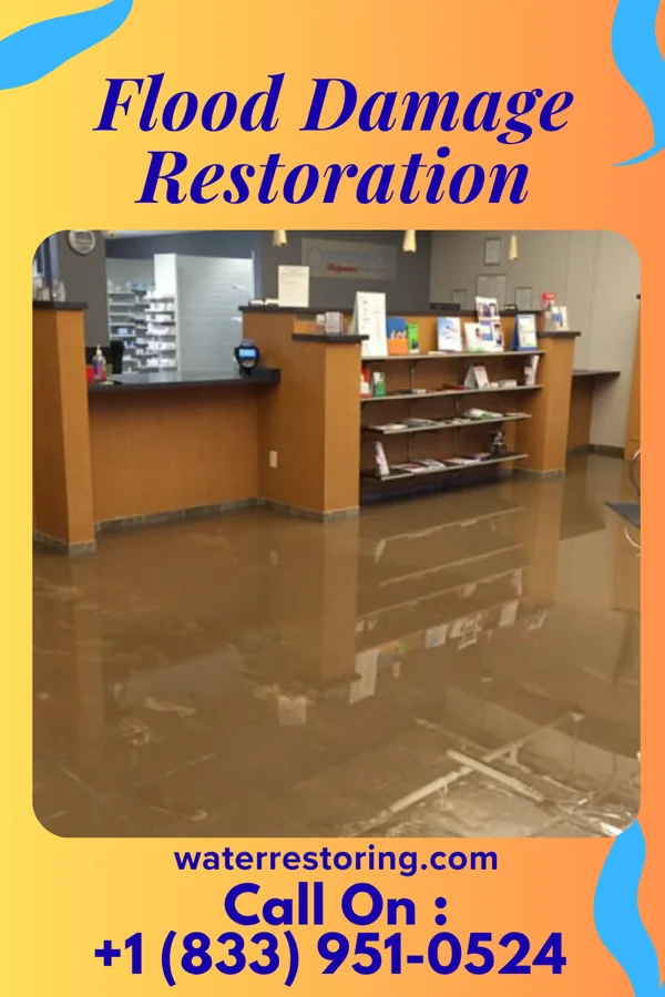 Flood Damage Restoration in Ackerman, MS