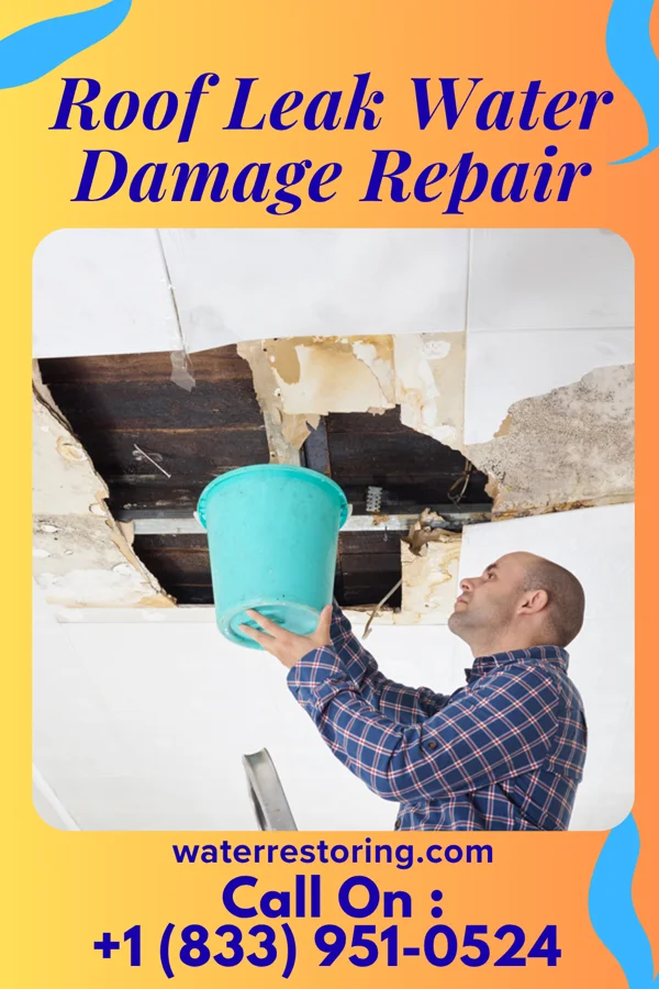 Roof Leak Water Damage Repair in Ackerman, MS